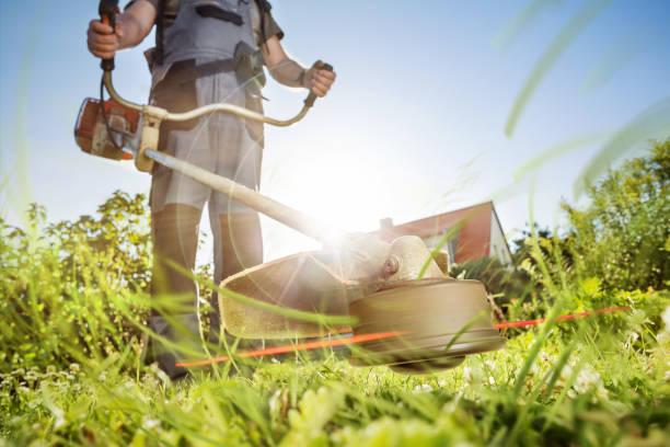 Faites confiance à un jardinnier professionnel